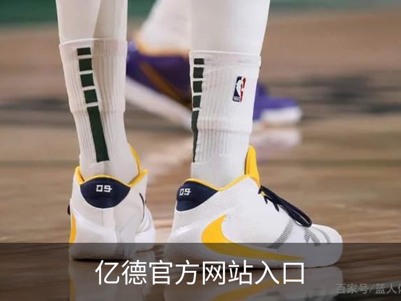 亿德官方网站入口简介
